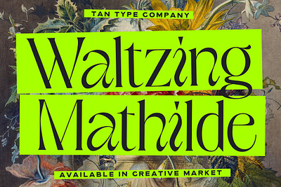 TAN - WALTZING MATHILDE Display Typeface display font display typeface elegant font elegant typeface fashion font quirky font quirky letters