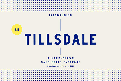 BN Tillsdale Hand-drawn Font Family font handwritten handwritten font sans serif font type typeface