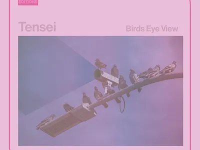 Tensei - Birds Eye View: Digital Single art branding design graphic design illustration
