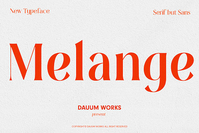 Melange - Serif Font Family dauumworks font melange serif typeface