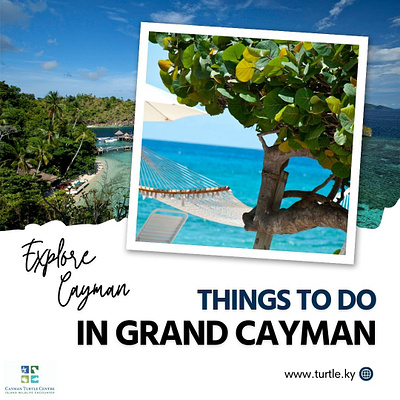 The Ultimate Cayman Islands Adventure: Unveiling Grand Cayman's excursions shore excursions