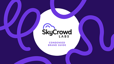 SkyCrowd Labs Logo & Branding