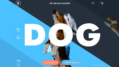 Pet store menu website design branding design graphic design illustration logo typography ui ux vector