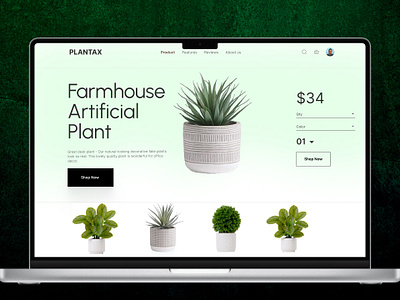 Minimal Plant pot Selling website Design. 3d animation branding graphic design logo motion graphics ui ux