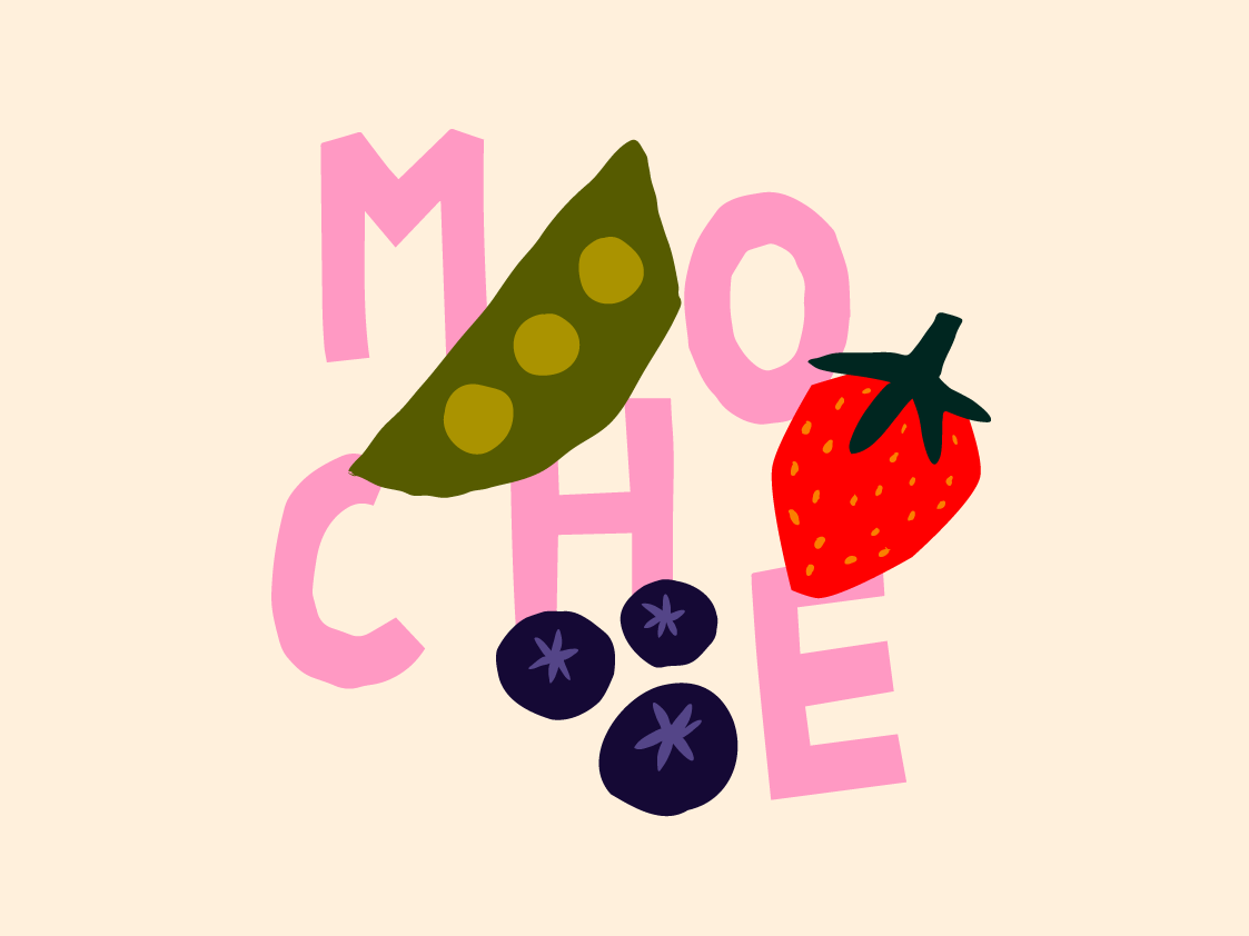 moche-branding-by-louise-perreaudin-on-dribbble