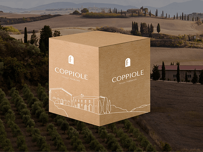 Ville Ferrano: Wine Crate Design branding collage graphic design illustration logo packaging packaging design wine