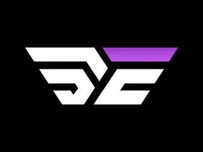 'SE' art branding daily design graphic design identity illustration logo logomark ui