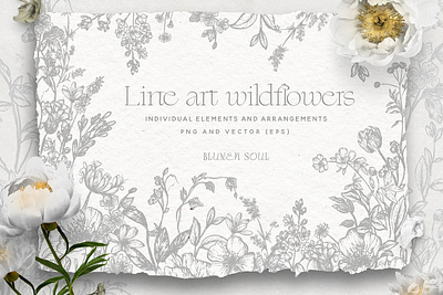 Line Art Wildflowers Clipart border botanical clipart illustrations line art flower meadow flower vector floral vector flowers wreath vector