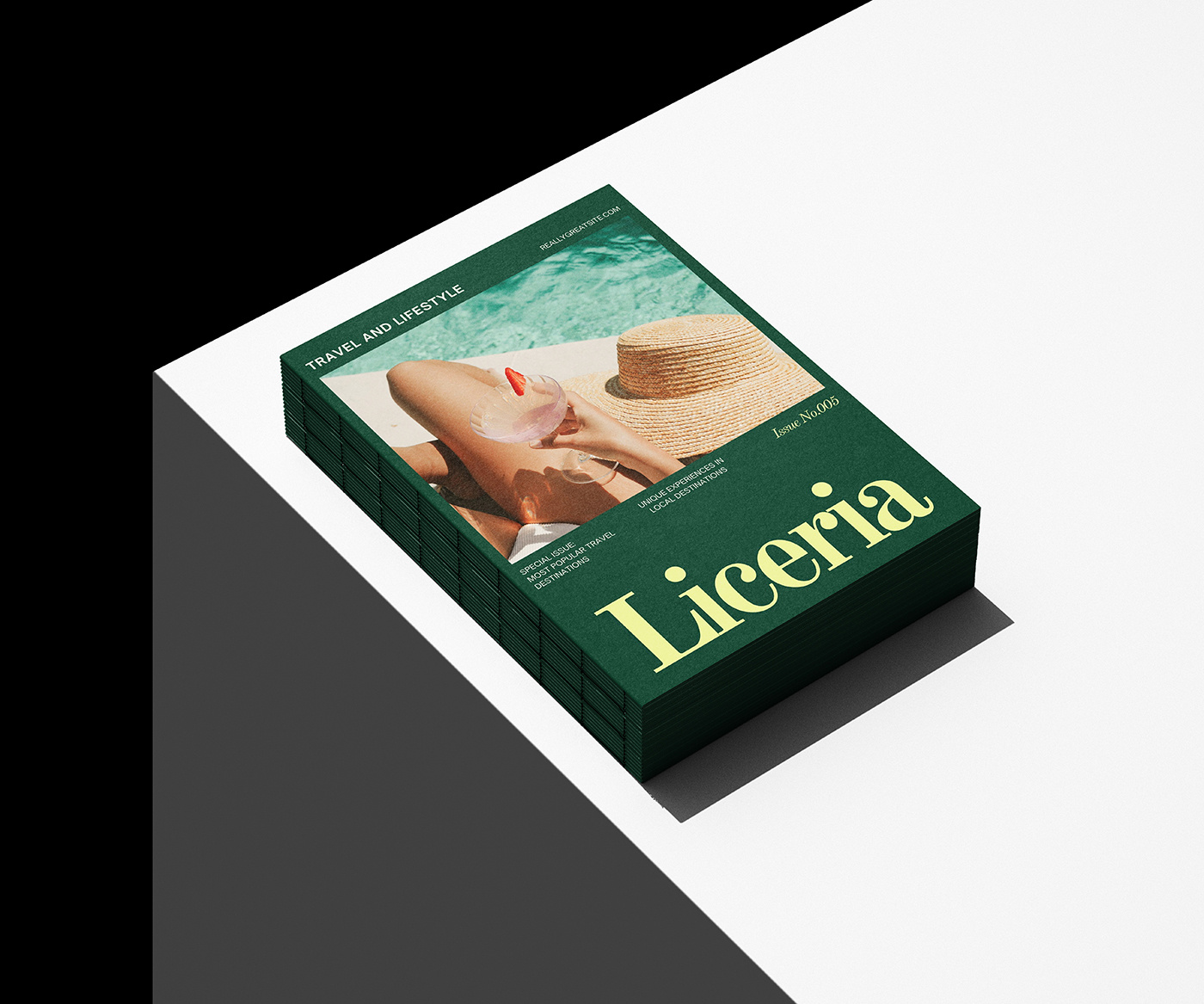 NS Magazine - Travel and Lifestyle booklet branding editorial graphic design layout magazine print typography