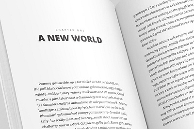 Full Book InDesign Template - V.1 book business ebook full book layout idml indesign index pages novel self improvement styles template typography
