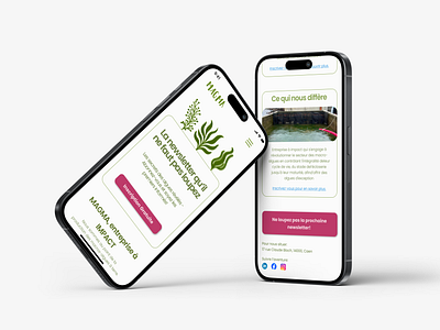 MAGMA - The Power Of Seaweed branding ui ux ux design web design