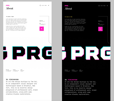 PRG. — Page Themes: "Light VS Dark" about branding dark ui light ui light vs dark logo neon retro typography ui ui design user experience design user interface design ux ux design