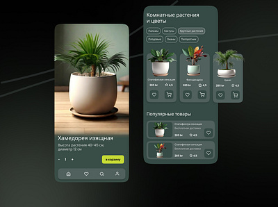 Дизайн приложения для продажи комнатных растений app application design case study design information design ui ui design