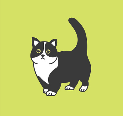 Neko bird cat dog graphic design illustrator pets