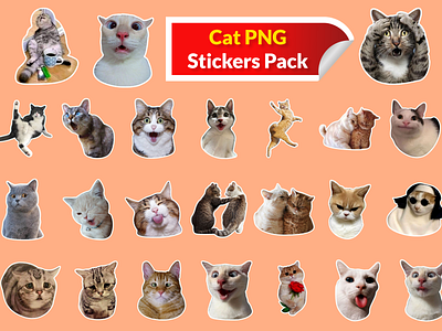 Cat PNG Stickers Pack - cga station cat pack cat png sticker pack cat sticker funny cat ill illustration messenger pack sticker sticker pack whatsapp pack