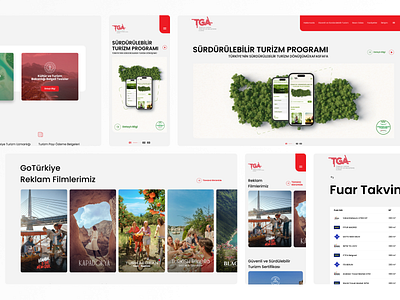 TGA Agency | Website