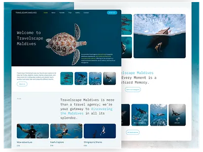 Website Design for Travel Agency blue business concept home page landing landing page photo simple travel user interface ux website design