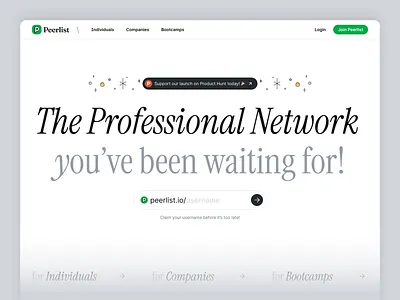 Peerlist New Landing Page branding clean landing page design hero section landing page prod professional network serif font web design website