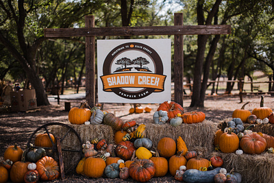 Pumpkin Farm Branding design graphic design logo vector