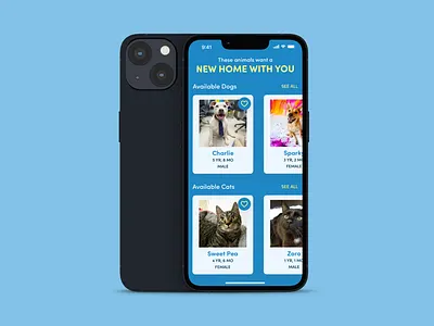 Daily UI - 045 Info Card daily ui design mobile mobile design ui ui design user experience ux ux design