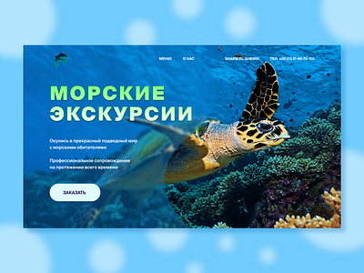 Sea ​​excursions in Egypt blue design sea ui ux