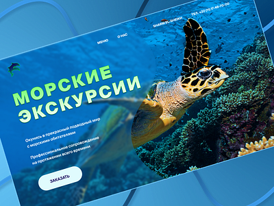 Swimming with turtles in the Red sea blue design graphic design sea ui ux