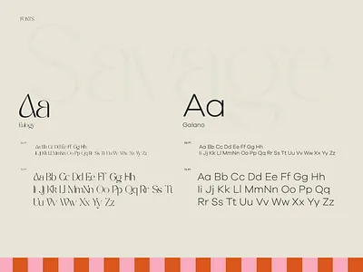 Savage Branding art direction branding creative design illustration layout logo minimal print