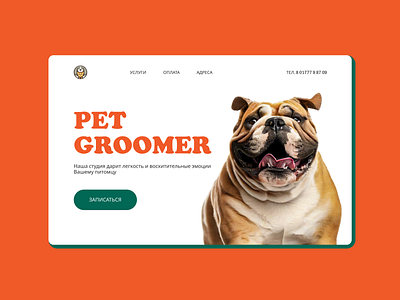 Groomer for our little friends. branding design dog graphic design green groomer orange ui ux
