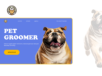 Professional groomer for your pet. blue design dog graphic design groomer ui ux yellow