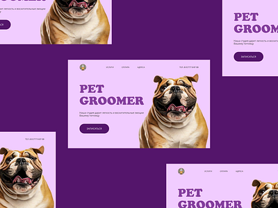 PET Groomer !!! design dog graphic design groomer ui ux violet