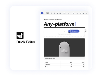 Duck Editor editor product design reactjs ui ux web