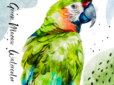 Great Green Macaw Parrot Watercolor Painting Portrait bird art buffons macaw christmas exotic bird graphic design great green macaw great military macaw illustration macaw parrot drawing parrot watercolor poster print t shirt watercolor watercolor animals watercolor art watercolor painting watercolorush wildlife painting