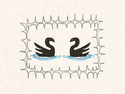 swans' secrets design drawing graphic illustration mixed media mysterius mystery sketch sketchbook swan