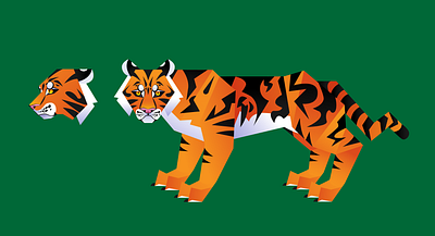 Tiger illustration vector vector illustration