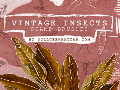 Vintage Insects Stamp BrushSet for Procreate brushes insects ipad procreate procreate vintage stamp vintage