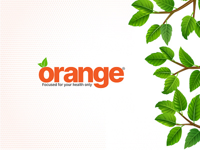 Orange Logo New Design branding graphic design logo orange logo new design