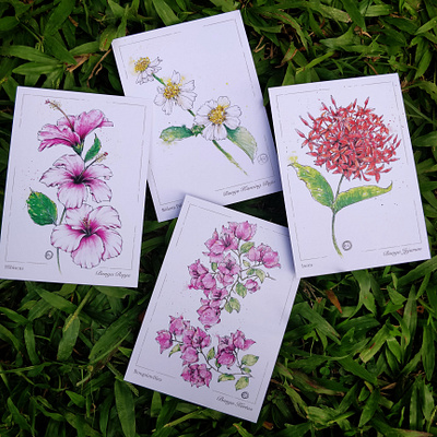 Flowers of Malaysia Postcards botanical illustration illustration painting watercolour