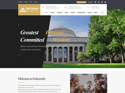 Michigan College Education website college education website web design