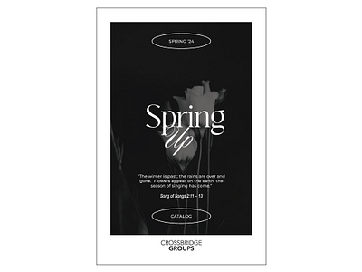 Spring Catalog Design adobe black and white catalog design graphic design illustrator indesign layout minimalism minimalist typography