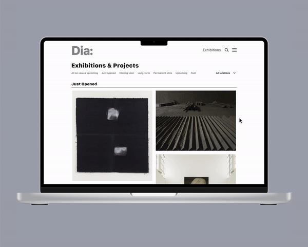 Dia Website Interactive Hover State design hover interactive ui ux