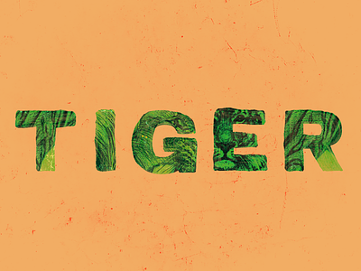 Tiger collage illustration photo illustration texture type typography
