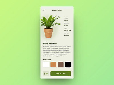 Plants Store UI app design figma product designer ui uiux ux