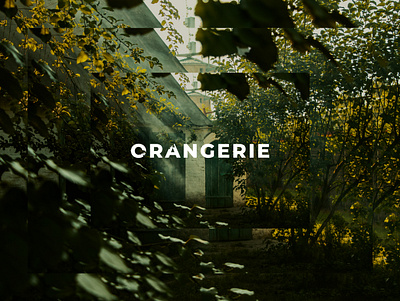 Projects showcase concept project orange orangerie tree website
