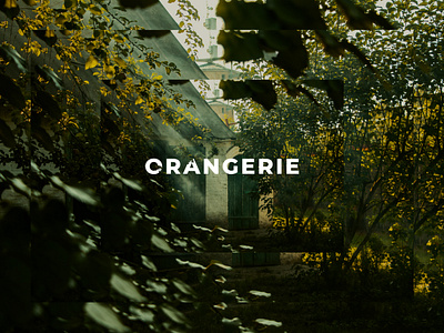 Projects showcase concept project orange orangerie tree website