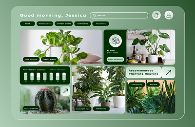 Gardening Platform graphic design ui ux webdesign