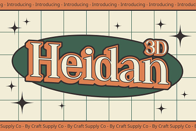 Heidan 3D | Craft Supply Co brush creative design elegant font illustration lettering logo typeface ui
