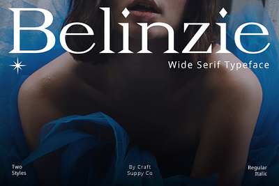 Belinzie | Craft Supply Co font lettering typeface
