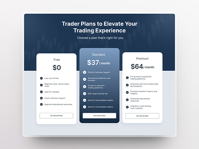 Discover Our Exclusive Trading Price Plans. price plan design uiux website price plan design