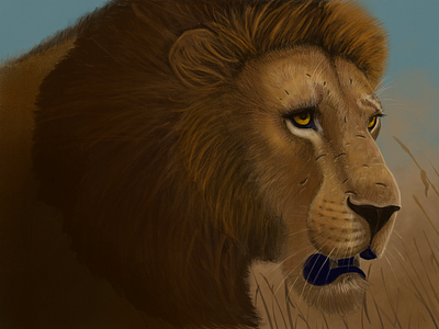 Lion illustration lion male lion reference from aaron blaise