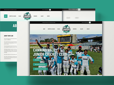 Canning Vale Junior Cricket Club Webpage Design branding design graphic design landing page ui ux webpage website